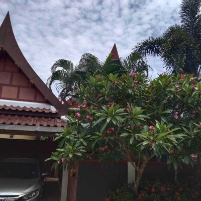 7R0861 Pool villa for rent 2 bedroom 2 bathroom 30,000/month at rawai