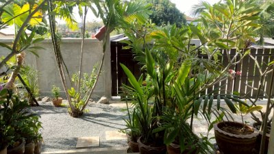 7R0924 Pool villa for rent 3 bedroom 2 bathroom 69,000/month at rawai