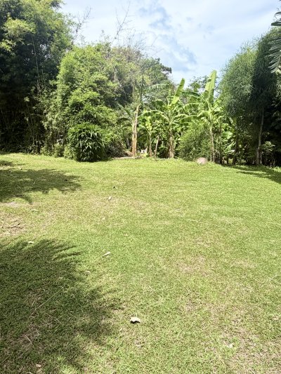 7R0986 ให้เช่าบ้านเดี่ยวชั้นเดียว 2 ห้องนอน 1 ห้องน้ำ ราคา 28,000/เดือน โซนราไวย์