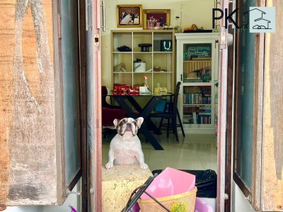 7S0083  Pool villa  for sale 8,500,000  These pool villa will offer over 54 sqw 2bedroom 3 bathroomThis is contemporary villa located in Rawai .