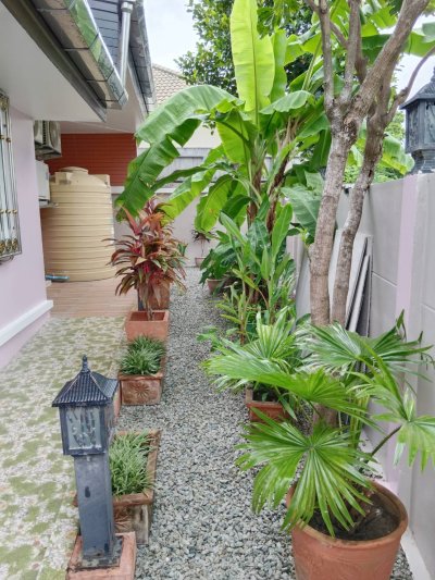 8R0244 ให้เช่าบ้านเดี่ยวชั้นเดียว 3ห้องนอน 2ห้องน้ำ ราคา 60,000เดือน โซนฉลอง