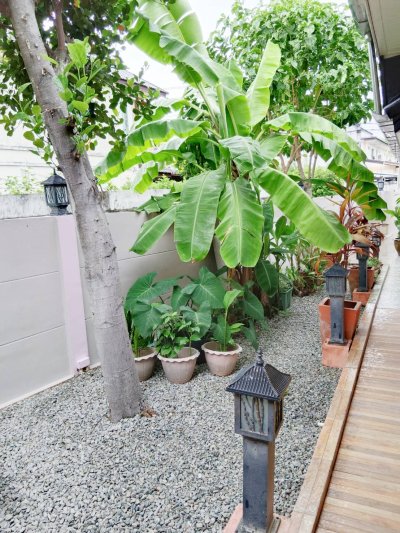 8R0244 ให้เช่าบ้านเดี่ยวชั้นเดียว 3ห้องนอน 2ห้องน้ำ ราคา 60,000เดือน โซนฉลอง