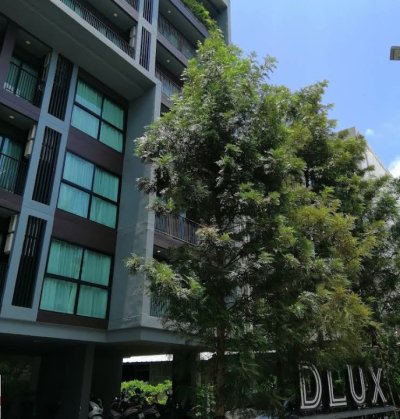 8R0488 Dlux Condo for rent 1bedroom 1bathroom 20,000 per month in Chalong