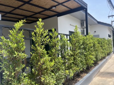 8R0595 ให้เช่าบ้านแฝดชั้นเดียว 3ห้องนอน 2ห้องน้ำ ราคา 38,000/เดือน โซนฉลอง