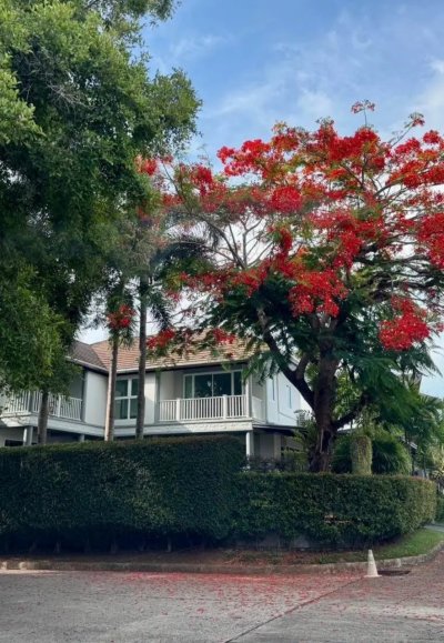 8R0601 ให้เช่าบ้านเดี่ยวสองชั้น 3ห้องนอน 4ห้องน้ำ ราคา 100,000/เดือน โซนฉลอง