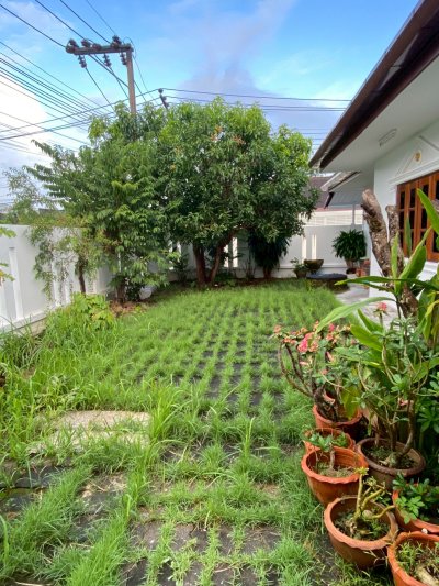 8R0793 This house for rent 2 bedroom 2 bathroom 30,000/month at chalong 8R0793 This house for rent 2 bedroom 2 bathroom 30,000/month at chalong