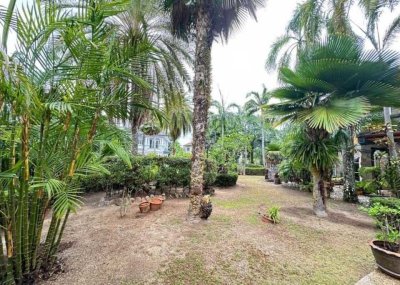 8R0794 Pool villa for rent 4 bedroom 4 bathroom 70,000/month at chalong 8R0794 Pool villa for rent 4 bedroom 4 bathroom 70,000/month at chalong