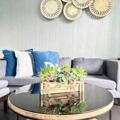 8R0815 Pool villa for rent 2 bedroom 2 bathroom 60,000/month at chalong