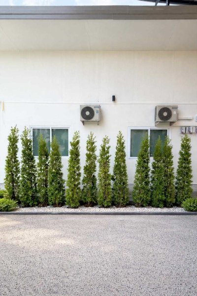 8R0852 This house for rent 1 bedroom 1 bathroom 22,000/month at chalong