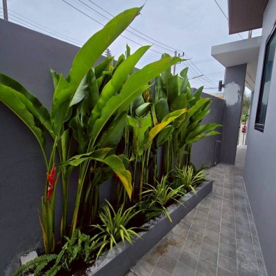 8S0204 This house for sale 5,990,000 baht 3 bedroom 3 bathroom at chalong