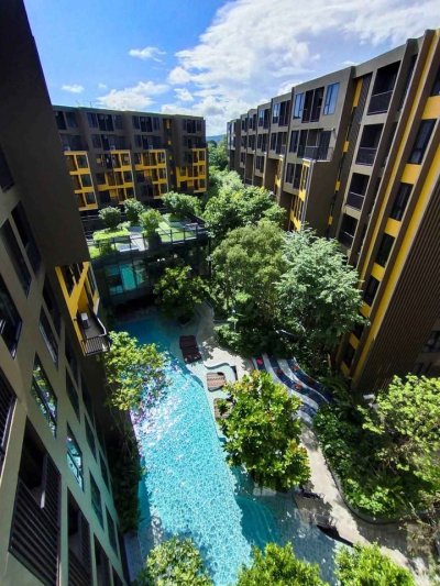 9R0382 Condominium for rent 1 bedroom 1 bathroom 22,000/month at wichit 9R0382 Condominium for rent 1 bedroom 1 bathroom 22,000/month at wichit