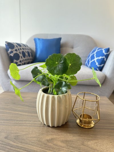 9R0524 Condominium for rent 1bedroom 1bathroom 17,000/month at wichit have fully furnished