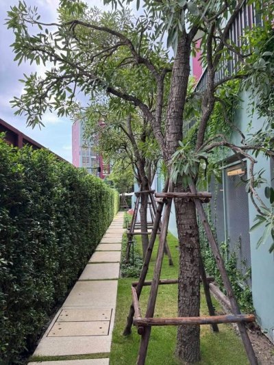 9R0687 Condominium for rent 2 bedroom 2 bathroom 35,000/month at wichit