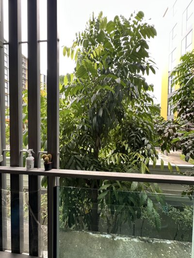 9R0739 Condominium for rent one bedroom 15,000/month at wichit