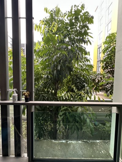 9R0739 Condominium for rent one bedroom 15,000/month at wichit