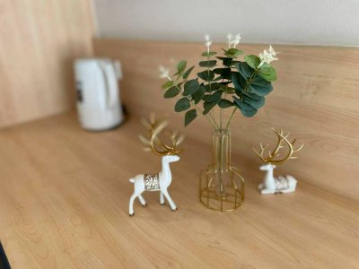 9R0748 ให้เช่าบ้านแฝดสองชั้น 3 ห้องนอน 3 ห้องน้ำ ราคา 50,000/เดือน โซนวิชิต