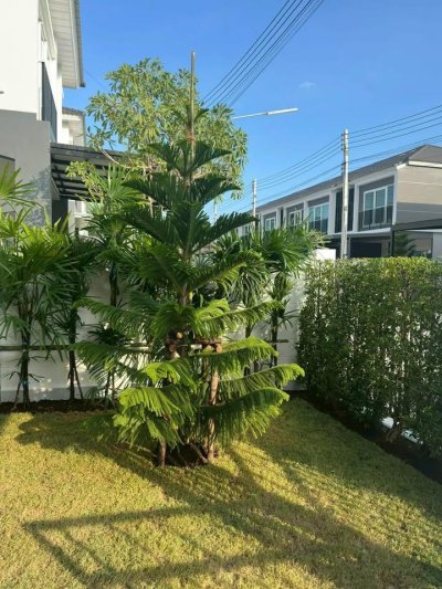 9R0765 This house for rent 3 bedroom 3 bathroom 65,000/month at wichit