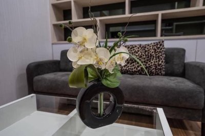 Green Ville 1 near BTS Punnawithi 33 sqm. for rent