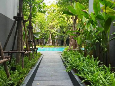 VTARA SUKHUMVIT 36 Near BTS Thong Lor 1 bed 1 Bath  29.5 sq m. Fully Furnished