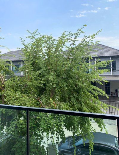 Bangkok Boulevard Single Home, 2 story 3 beds 3 Baths  164 sq m. Fully Furnished