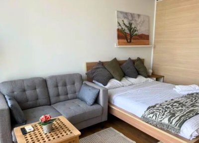 Park Origin near BTS Phrom Phong 30 sqm.