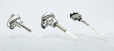 RTD (Resistance Temperature Detector)