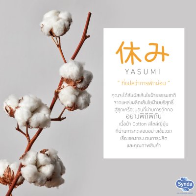 ผ้าปูที่นอนรัดมุม รุ่น  YASUMI MORU ผ้าปูที่นอนรัดมุม รุ่น  YASUMI MORU