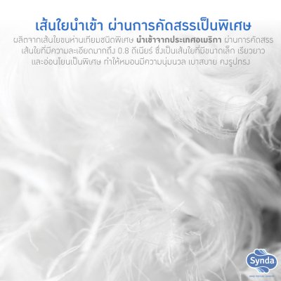 Synda รุ่น Microniar Pillow (Medium) Synda รุ่น Microniar Pillow (Medium)