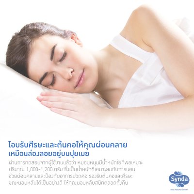 Synda รุ่น Microniar Pillow (Medium) Synda รุ่น Microniar Pillow (Medium)