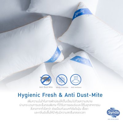 Synda รุ่น Microniar Pillow (Medium) Synda รุ่น Microniar Pillow (Medium)