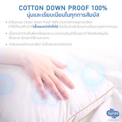 Synda รุ่น Microniar Pillow (Medium) Synda รุ่น Microniar Pillow (Medium)