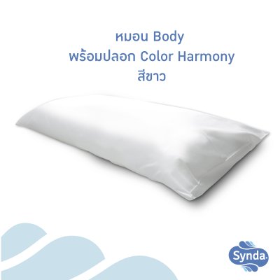 หมอนบอดี้  Body Pillow หมอนบอดี้  Body Pillow