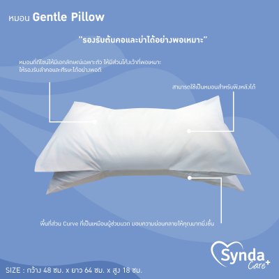 Synda Care รุ่น Gentle Pillow Synda Care รุ่น Gentle Pillow
