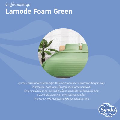 ผ้าปูที่นอนรัดมุม รุ่น  LAMODE FOAM GREEN