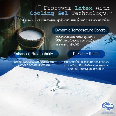 หมอนหนุนยางพารา COOL ZEN STANDARD หมอนหนุนยางพารา COOL ZEN STANDARD