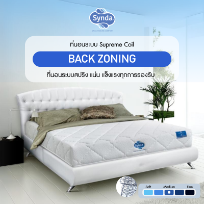 Synda ที่นอนรุ่น Back Zoning Synda ที่นอนรุ่น Back Zoning
