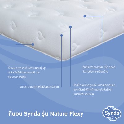 ที่นอน Synda รุ่น Nature Flexy ที่นอน Synda รุ่น Nature Flexy
