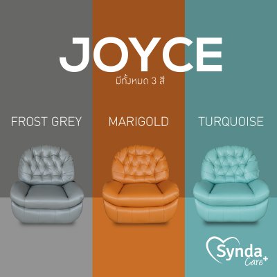 Synda Health & Care Recliner รุ่น Joyce Synda Health & Care Recliner รุ่น Joyce