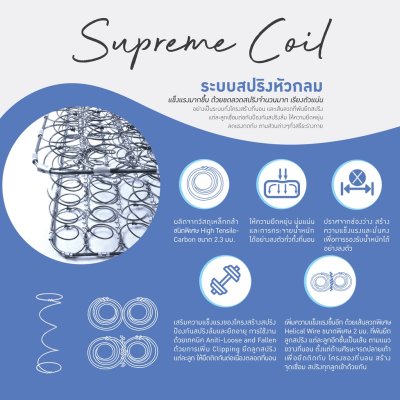 Synda ที่นอน รุ่น Back Repose Synda ที่นอน รุ่น Back Repose