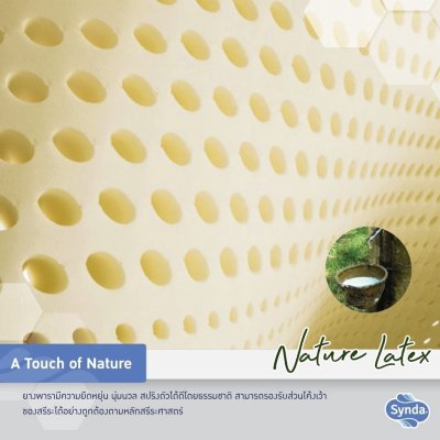 ที่นอน Synda รุ่น Nature Flexy ที่นอน Synda รุ่น Nature Flexy