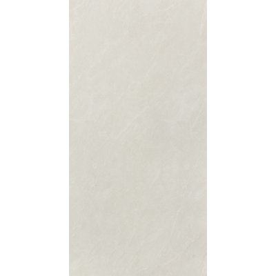 XAVIA SATIN 60x120
