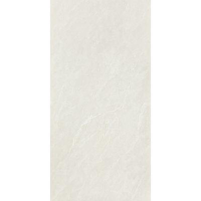 XAVIA MATT (60x120)