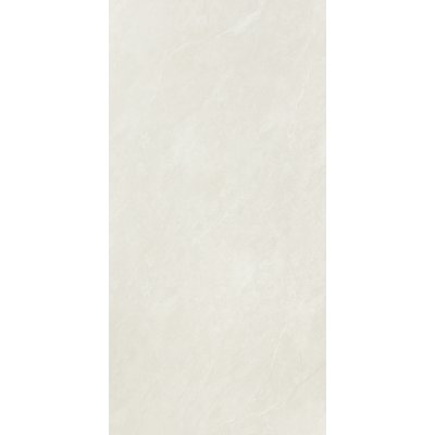 XAVIA MATT (60x120)