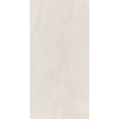 VISSEL LIGHT GREY 60x120 VISSEL LIGHT GREY 60x120