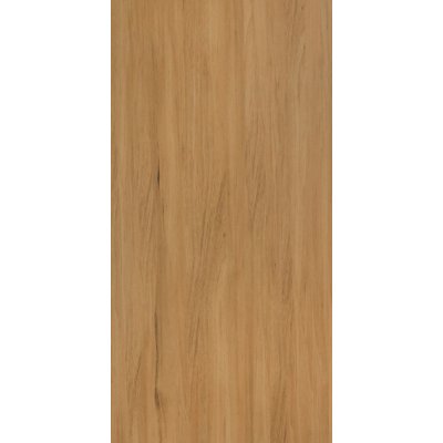 AVANA 60x120