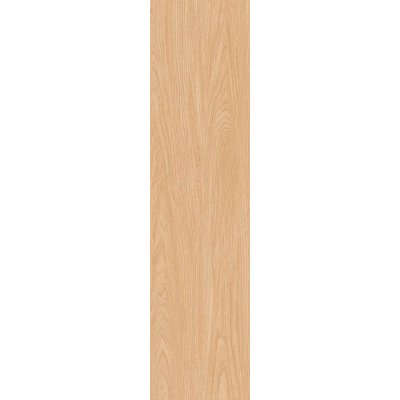 TATAMI 30x120