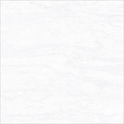 COSTER GREY (AS)