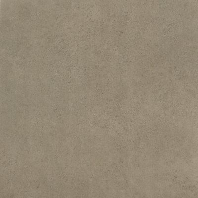 SHAWN GREY (AS)