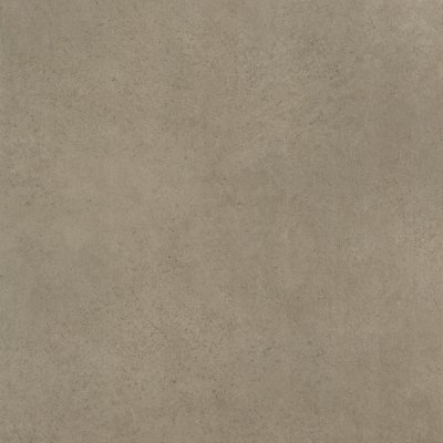SHAWN GREY (AS)