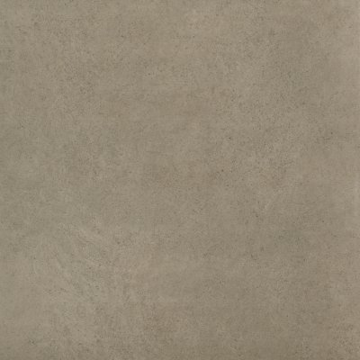 SHAWN GREY (AS)